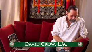 How to Use Essential Oils To Support Respiratory Health - With David Crow L.Ac