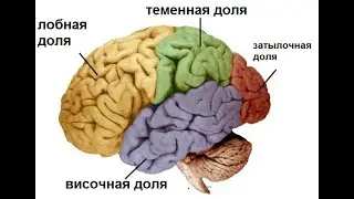 бороться и искать найти и не сдаваться девиз по жизни