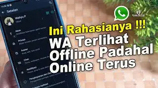How to Make WhatsApp Appear Offline for Days Even Though You're Online