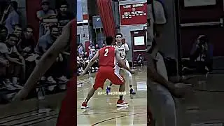 Ball brothers🤯 #shorts