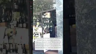 Бухло в Милане. Июнь 2024.