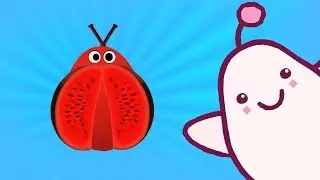 Educational Cartoon Lady Bug - Drawing songs with Mimi #30