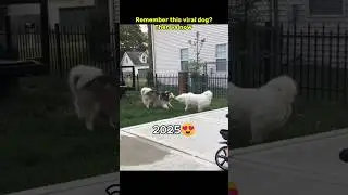 Then 💝 vs now 🕊️ Legendary memes 