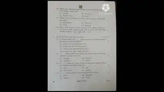 CBSE 10th class IT paper 2023💯