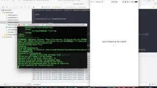 Remote Cydia Impactor Proof Of Concept