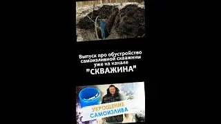 Самоизлив скважины. Обустройство самоизливной скважины. Подпишитесь на канал 
