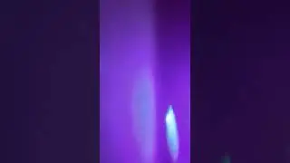 флоппа