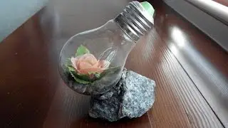 How to plant a flower in a light bulb. Crafts school for the child.