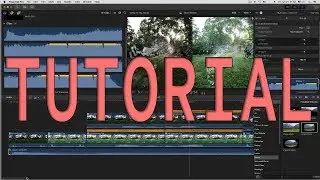GoPro vs DJI - Workflow H.265 H.264 HEVC 240fps Tutorial