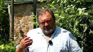 Різні способи і методи догляду за плодовими деревами.