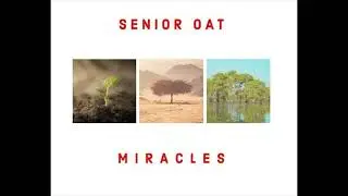 ROFSTEVE MIX 293(Senior Oat - Miracles Album Mix)