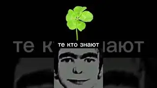те кто знают #рекомендации #втоп #чёрныйклевер