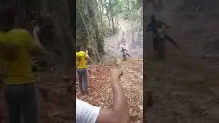 4 trilha do guaxinim (vicinal 332)