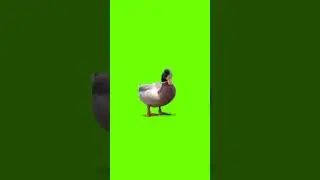 3D Green screen effect video# Black screen effect Video # kinemaster effect video#Shorts