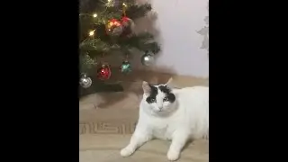#Новыйгод!!! Уррра, всех с новым 2022 годом!!!! 💃💃💃🍾🍾🍾🥂🥂🥂