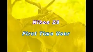 Nikon Z8 first time user
