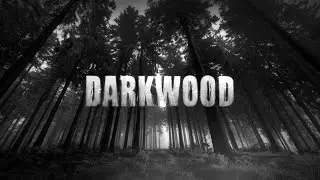 DARKWOOD - стрим третий