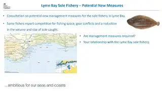 Lyme Bay Sole Fishery - Potential new measures