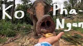 Amazing Ko Phangan, Thailand, 2025
