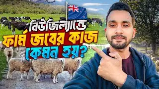 নিউজিল্যান্ডের ফার্মের কাজ কেমন|| NewZealand Farm Work Visa|| নিউজিল্যান্ডে ফার্মে বাংলাদেশিদের ভিসা
