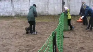 Бублик