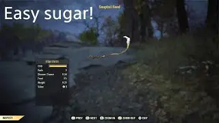 Fallout 76 | *EASY* Sugar/snaptail reed farm!