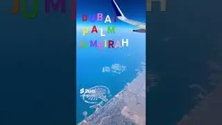 Dubai Palm Sky View ✈️
