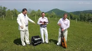 Refkini Ahbabi - Mehici, okolo borici [Uzivo]
