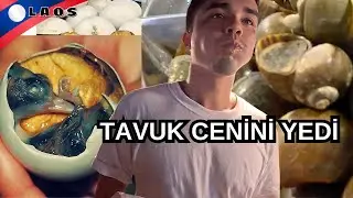 🇱🇦BAKIN BURADA NE YİYORLAR ? 'Tavuk Cenini ,Kurt,Timsah,Sümüklü böcek''| Vientiane Laos