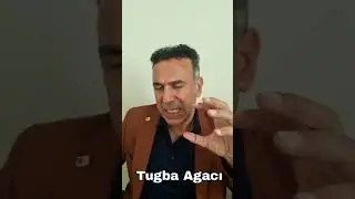 Tugba Agaci