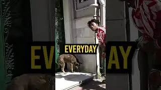iShowSpeed Helps A Homeless Dog! 😥
