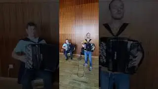 Дунайские волны 