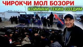 ЕМ КИММАТ! ЧИРОКЧИ МОЛ БОЗОРИ НАРХЛАРИ CHIROQCHI MOL BOZORI.