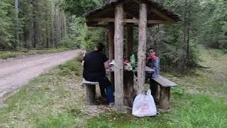 Ужин в лесном ресторане.