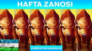 TOP 10 HAFTA ZANOSI. MAXWINLAR HAFTASI BO'LDI 33-SON. Заносы недели (Uzbekistan) 