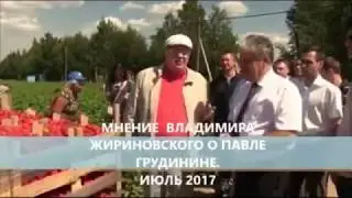 Владимир Жириновский о Павле Грудинине. Вся суть.