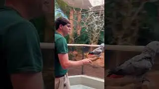 Keeper Robert Zoo Keeper Week
