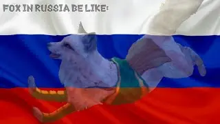 Fox in Russia Be Like: