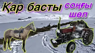 Көктем келуде, Шаруашылыққа шолу.