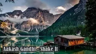 Aakash Gandhi - Shake It