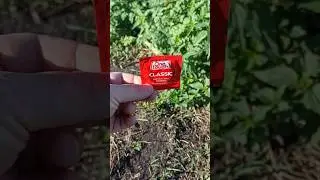 Утопил телефон в реке чтобы снять видео. Полезные советы