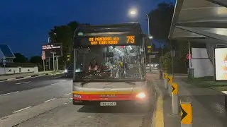SMRT Buses MAN NL323F A22 (Batch 3) SMB1465X on Service 75