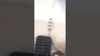 24 августа 2024 г.