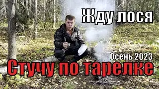Жду лося: Стучу по тарелке 