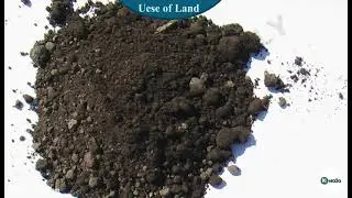 Exploring the Uses of Land in Social Science | Class 8 Social Science Tutorial