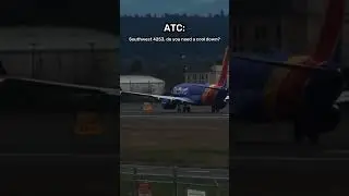 Plane Nearly Causes FATAL COLLISION On Runway 😳 #aviation #avgeek #plane #planes