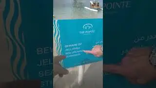 Beware of Jellyfish Sea Urchins Stingrays at The Pointe Atlantis Palm Dubai 15.01.2022
