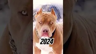 2024 dog 🐶 vs 5000 BCE dog 🐕 💥💥 #viral #shorts