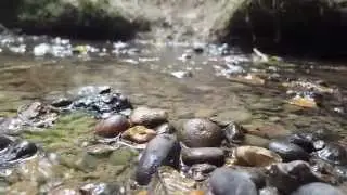 Samsung galaxy S6 camera demo (FHD)