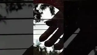 say you want let go [fingerstyle guitar cover] 
